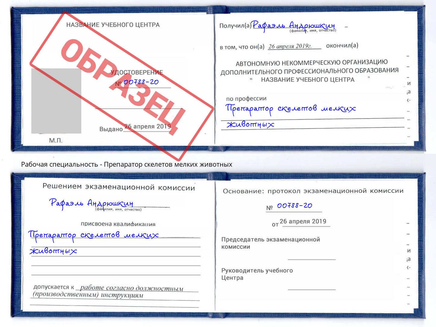 Препаратор скелетов мелких животных Холмск