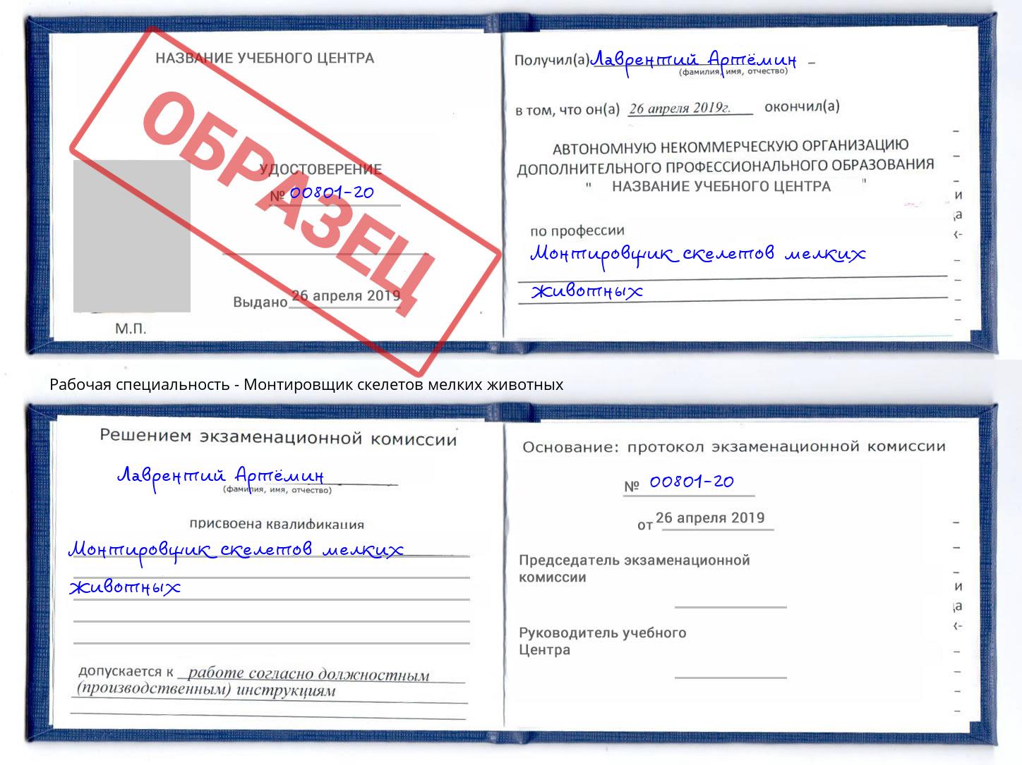 Монтировщик скелетов мелких животных Холмск
