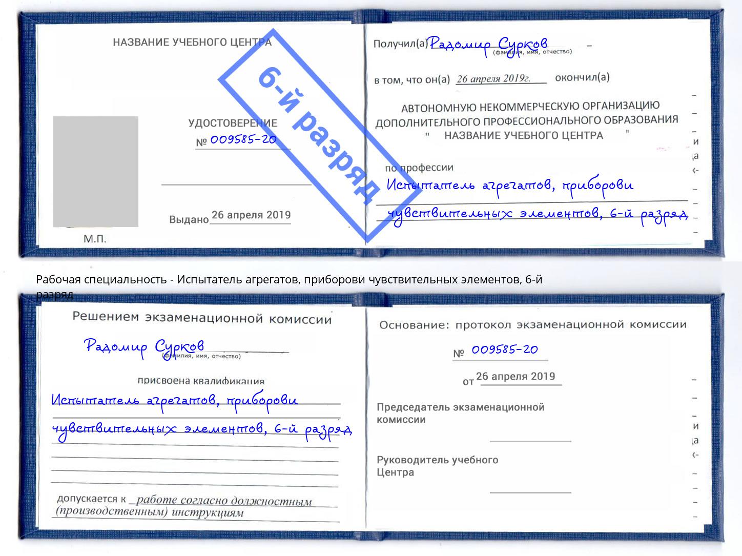 корочка 6-й разряд Испытатель агрегатов, приборови чувствительных элементов Холмск