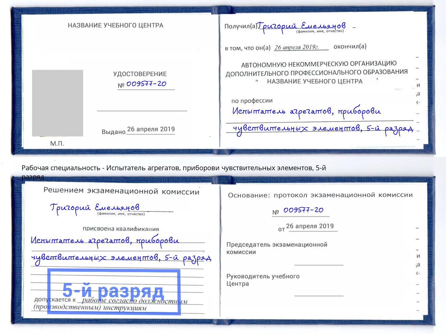 корочка 5-й разряд Испытатель агрегатов, приборови чувствительных элементов Холмск