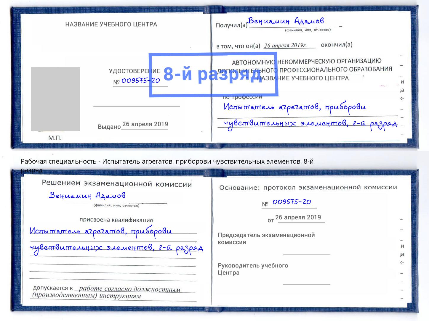 корочка 8-й разряд Испытатель агрегатов, приборови чувствительных элементов Холмск